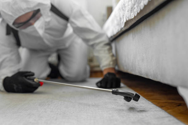 Professional Termite Control technician working in Mapleton, UT