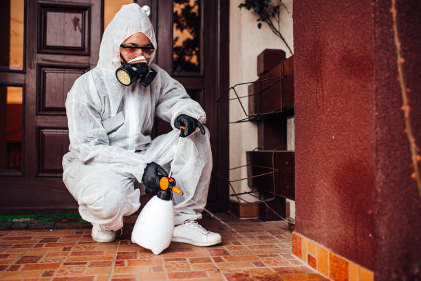 Reliable Termite Control contractor in Mapleton, UT by Nex Pest Control